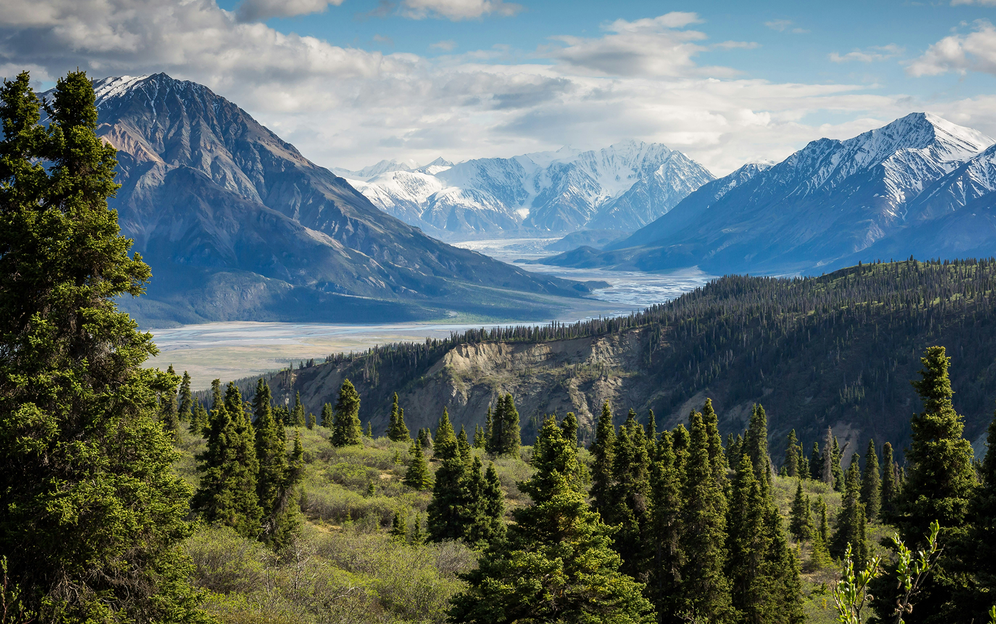 Patrick Morley Header