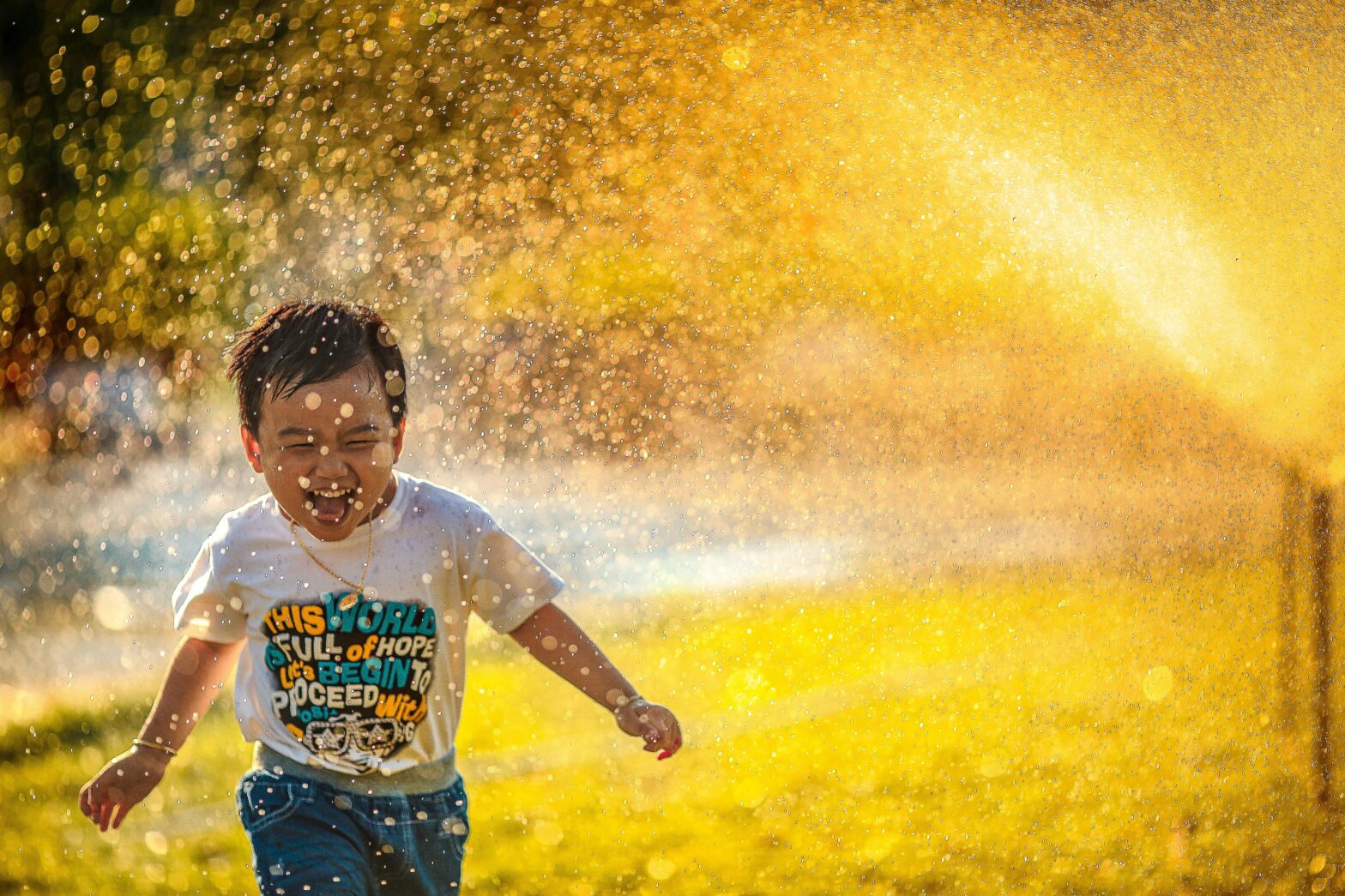 HAPPINESS: The Residue of Holiness