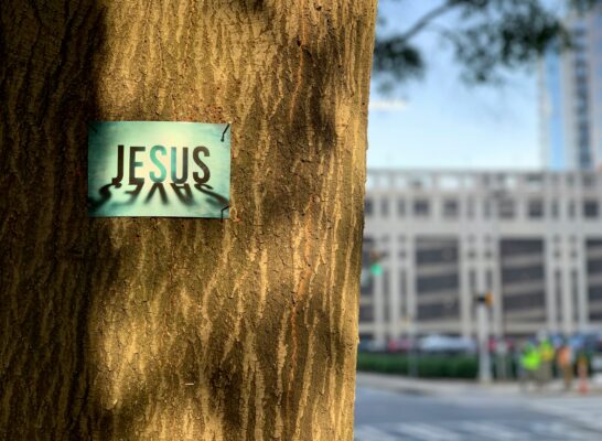 Weekly Wisdom: Lordship | Who Is Jesus to You?