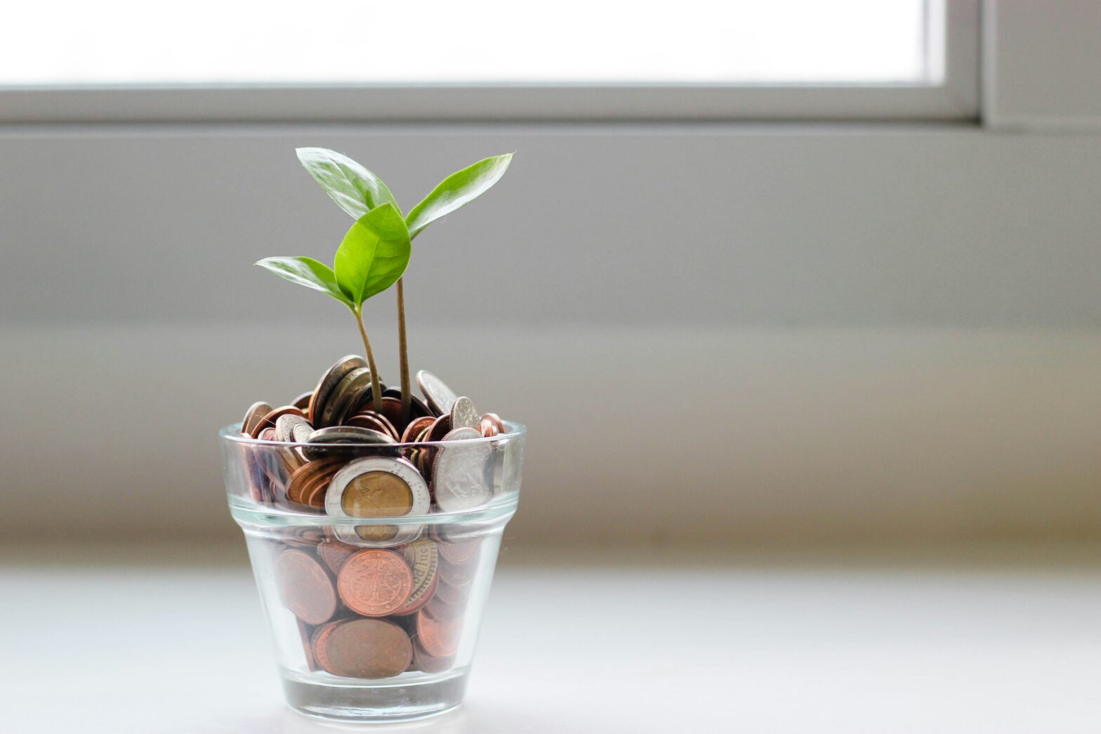Weekly Wisdom: Stewardship- 4 Lifestyles, 6 Practical Suggestions