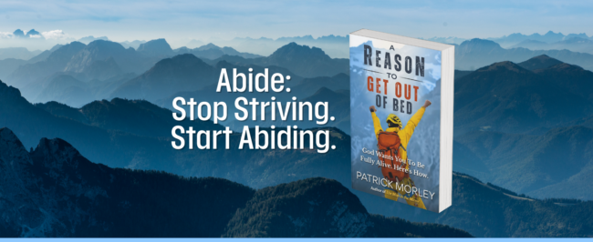 Weekly Wisdom- Abide: Stop Striving. Start Abiding.